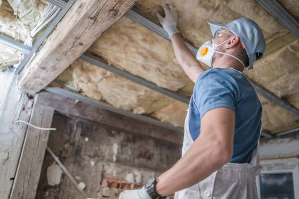 Best Commercial Insulation in Sorrento, LA