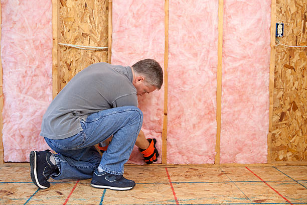 Best Insulation for Specific Applications in Sorrento, LA